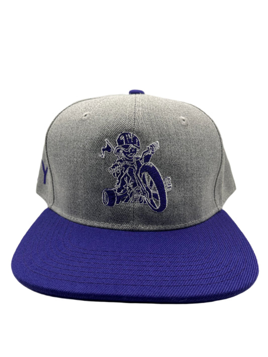 Heather Grey/Purple New Ro Westcheddar Top 5 Cities Snapbacks